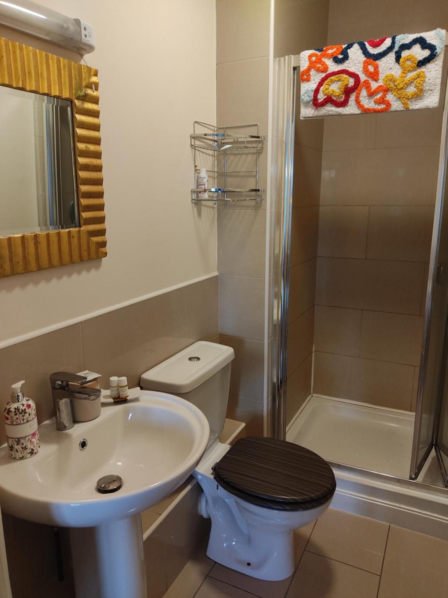 Swallows Nest - Spacious Bright Double Bedroom With Ensuite Bathroom Dublin Ngoại thất bức ảnh